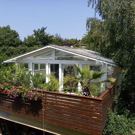 Greenhouse Just 15 Min From The Old Town ブラチスラヴァ エクステリア 写真