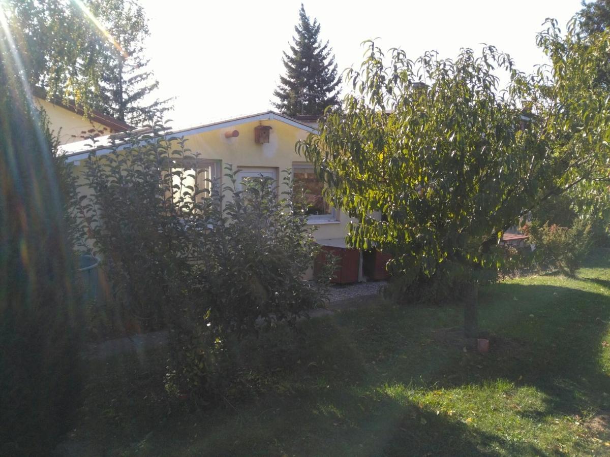 Greenhouse Just 15 Min From The Old Town ブラチスラヴァ エクステリア 写真